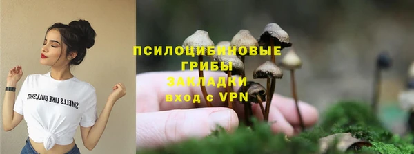 спайс Алзамай