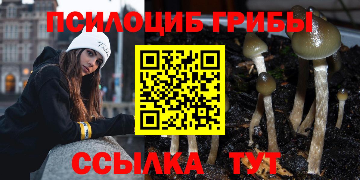 Псилоцибиновые грибы Psilocybine cubensis Кохма