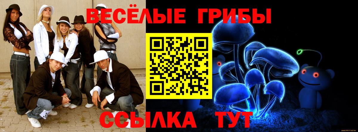 Кохма  Псилоцибиновые грибы Cubensis  Вход с VPN 